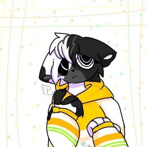 Meet your Posher, Shasta